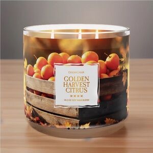 Goose Creek 3-Wick Candle- Golden Harvest Citrus (14.5 oz)